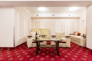 Отель Буковина. Представительский люкс (Presidential suite) № 400 9