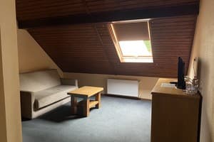 Готельно-ресторанний комплекс Георг Парк. Стандарт  сімейний 3