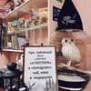 Хостел У Поттера-1/12